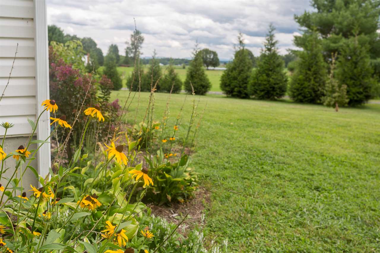 10882 Cook Town Road Bridgewater, VA 22812 - Photo 43 of 47 a view of a garden with a building in the background