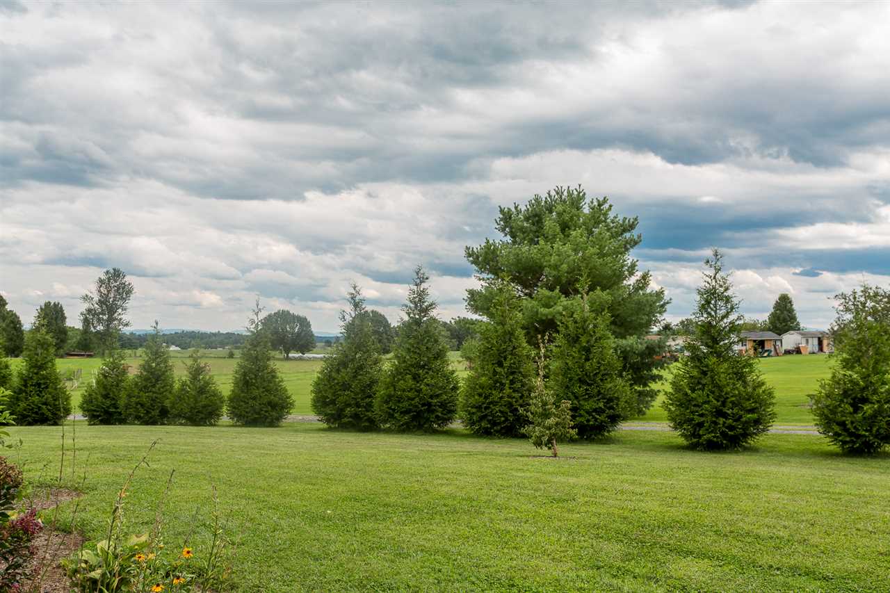 10882 Cook Town Road Bridgewater, VA 22812 - Photo 44 of 47 a view of a grassy field with trees