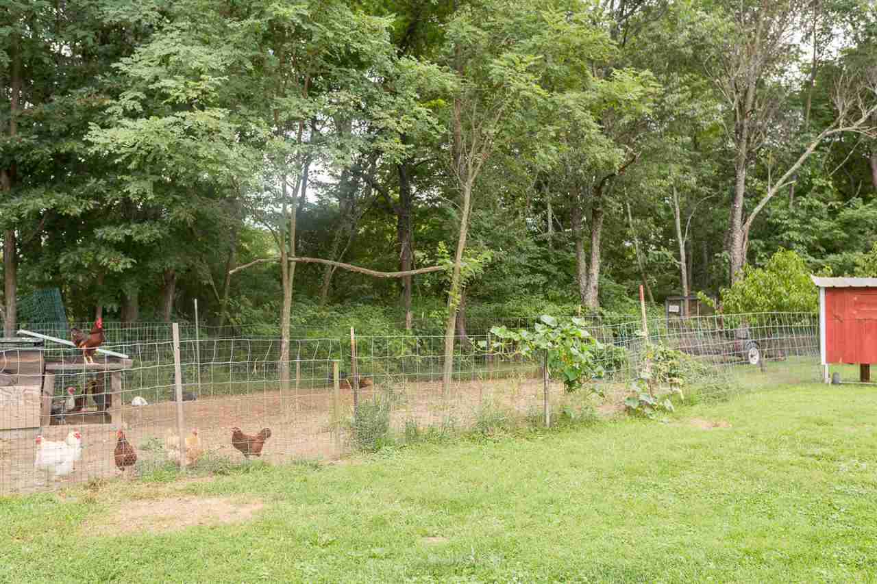 10882 Cook Town Road Bridgewater, VA 22812 - Photo 45 of 47 a view of a park with large trees