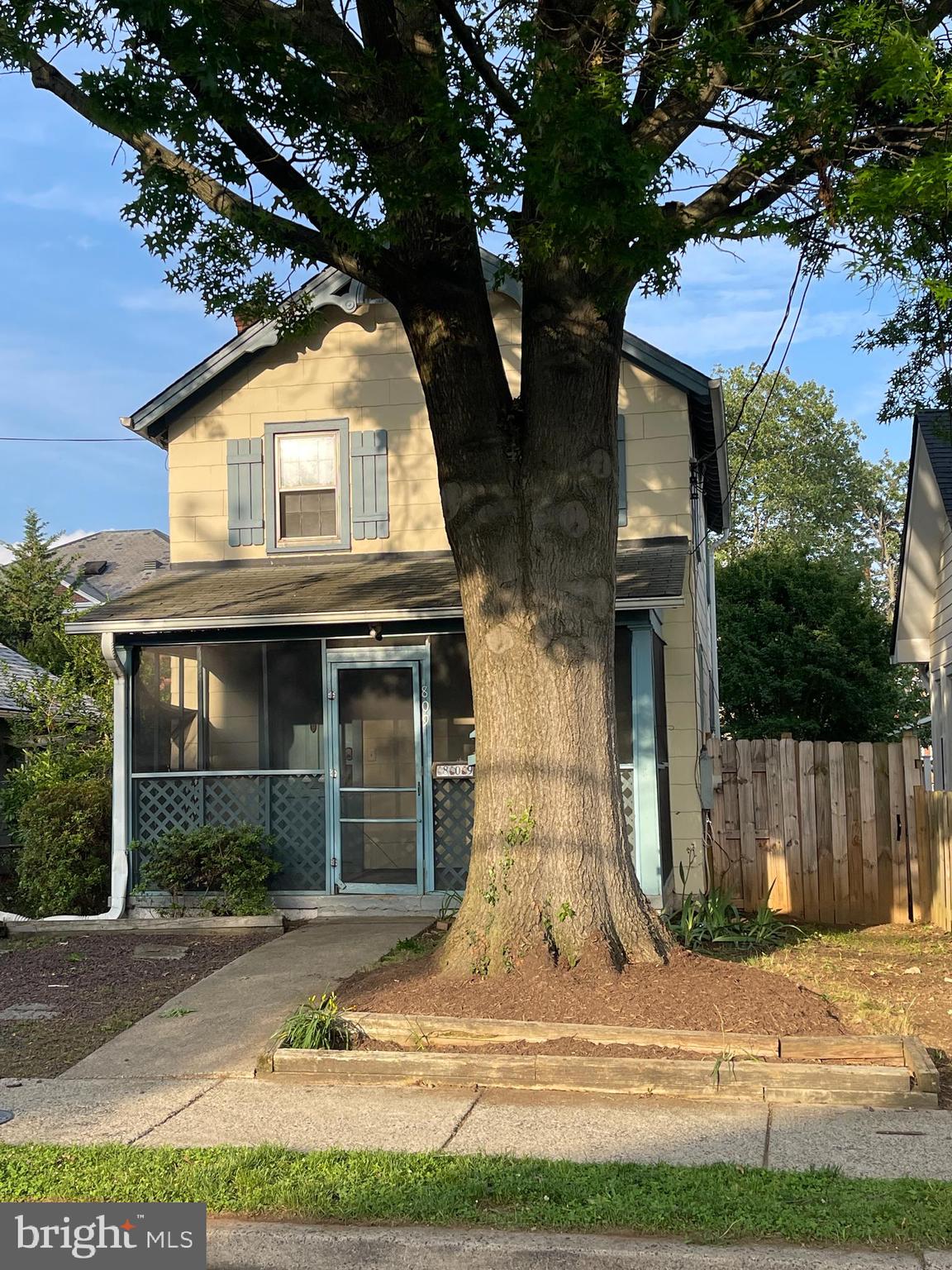 809 North Barton Street Arlington, VA 22201 - Photo 24 of 42 Mature shade tree in front.