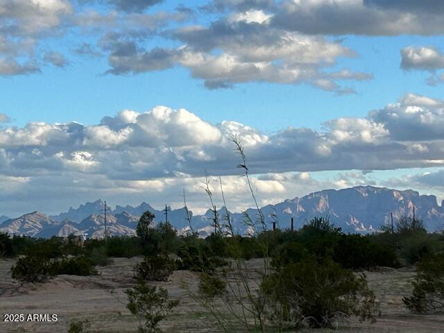 29884 La Paz Valley Road Quartzsite, AZ 85346 - Photo 20 of 21
