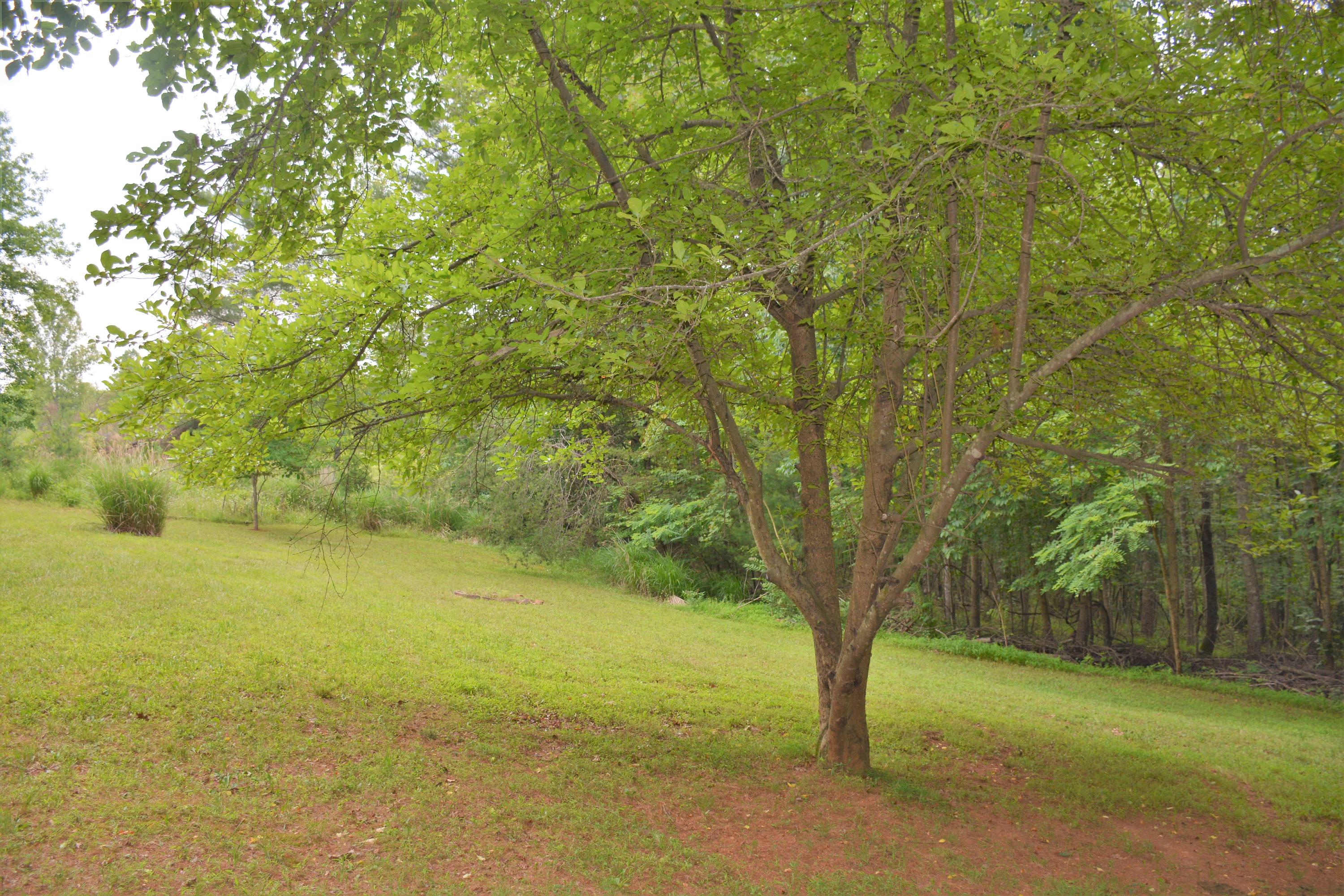 340 Union Church Road Ferrum, VA 24088 - Photo 22 of 26 DSC_7817