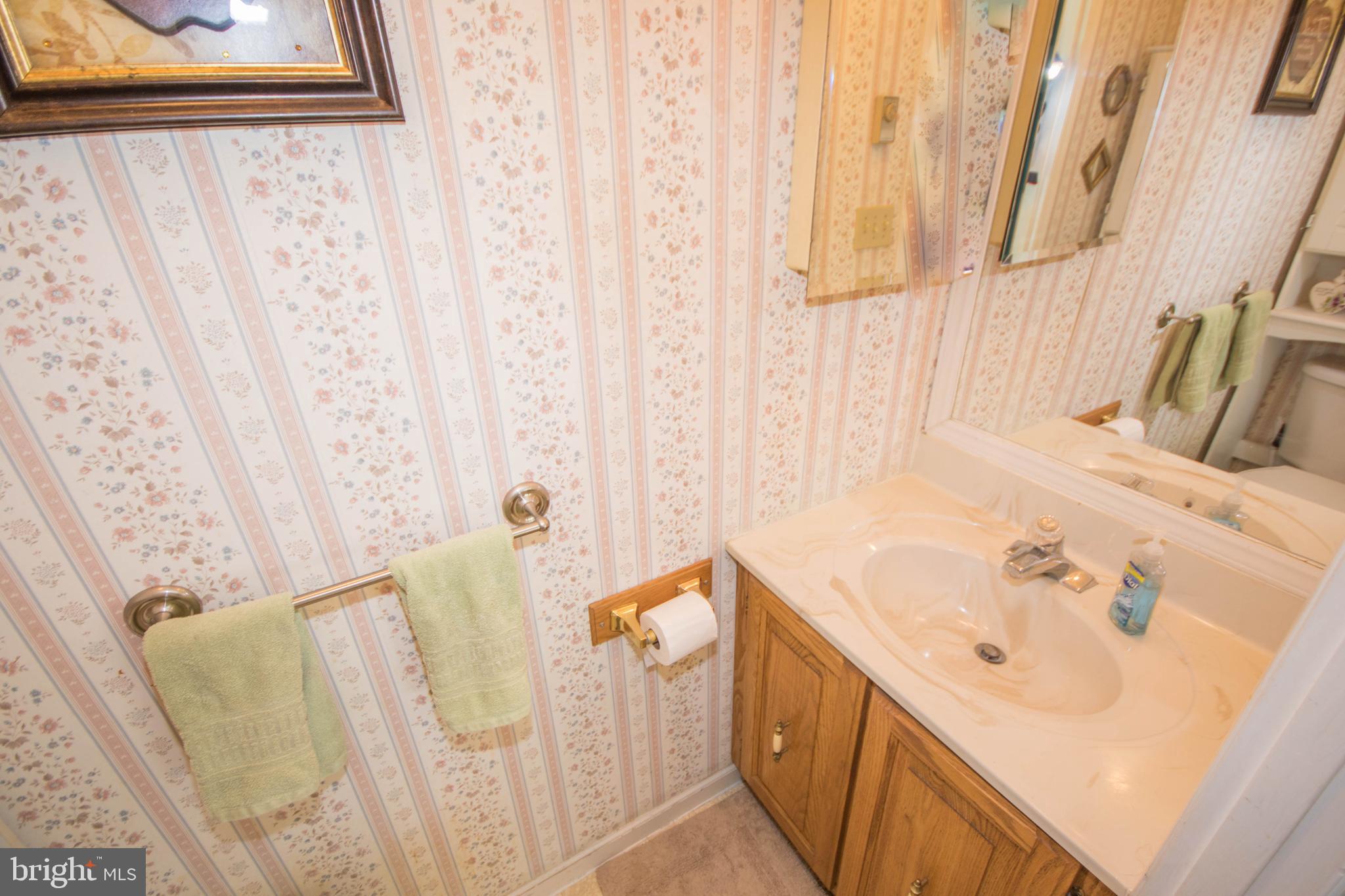 104 Moonglow Road Fruitland, MD 21826 - Photo 25 of 61 Master Bathroom