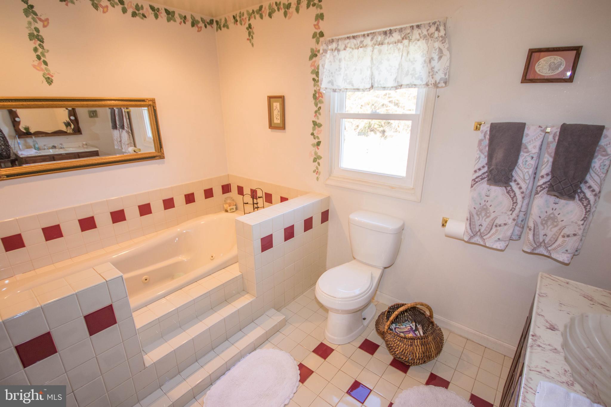 104 Moonglow Road Fruitland, MD 21826 - Photo 30 of 61 Bathroom 3