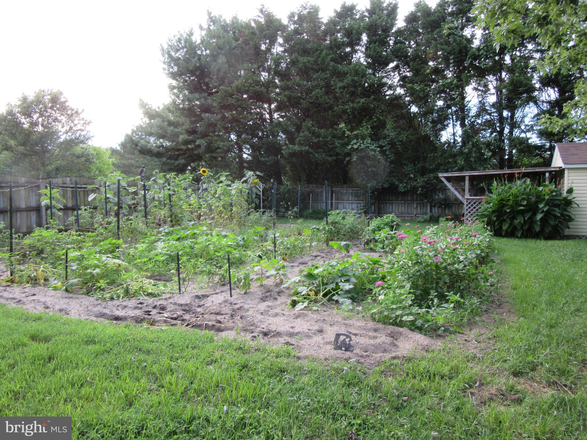 104 Moonglow Road Fruitland, MD 21826 - Photo 61 of 61 Vegetable Garden