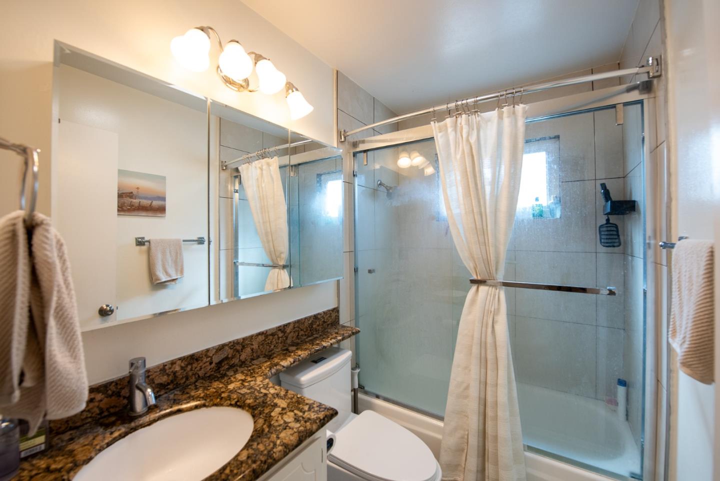 5798 Ribchester Court San Jose, CA 95123 - Photo 7 of 18 a bathroom with a sink toilet and shower