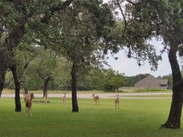 $2 | 400 Old Highway 290, Dripping Springs, TX 78620