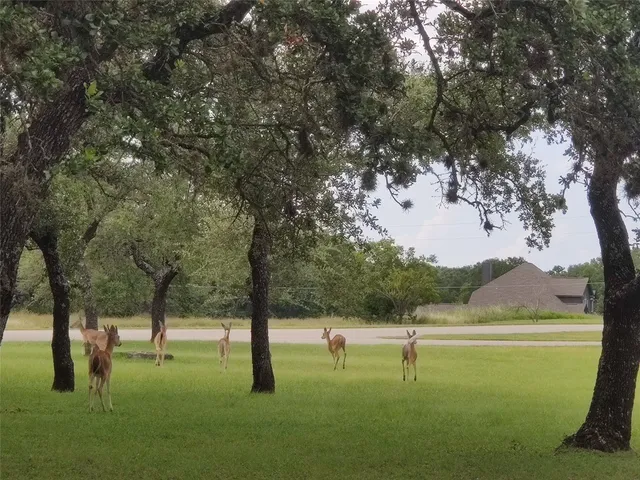 $2 | 400 Old Highway 290, Dripping Springs, TX 78620