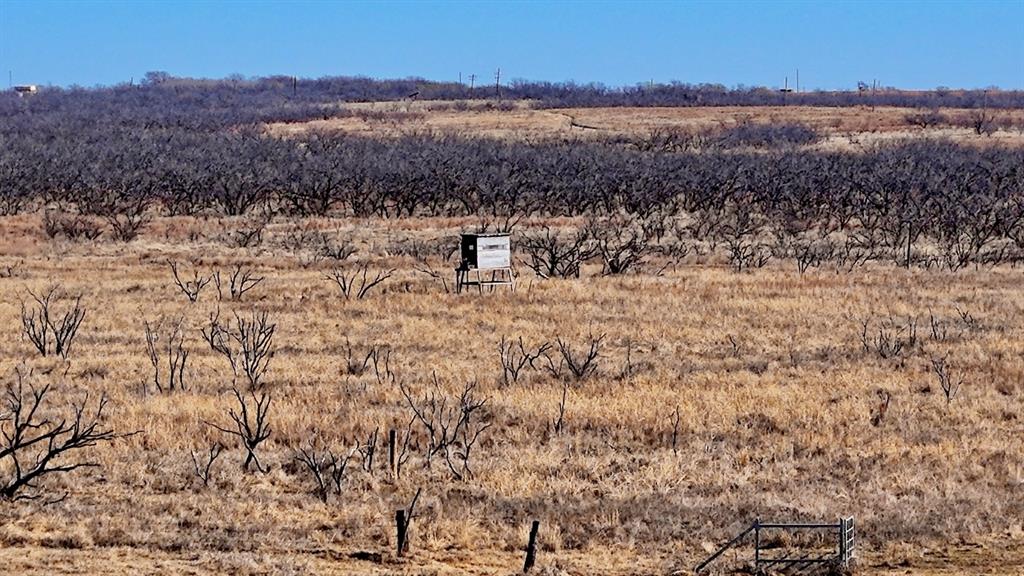 79 Wichita Falls Wichita Falls, TX 76305 - Photo 15 of 26