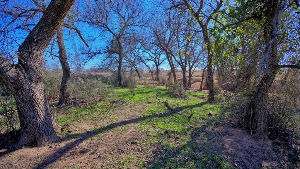 79 Wichita Falls Wichita Falls, TX 76305 - Photo 16 of 26