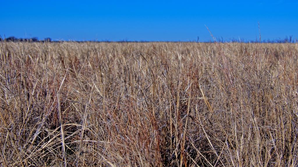 79 Wichita Falls Wichita Falls, TX 76305 - Photo 17 of 26