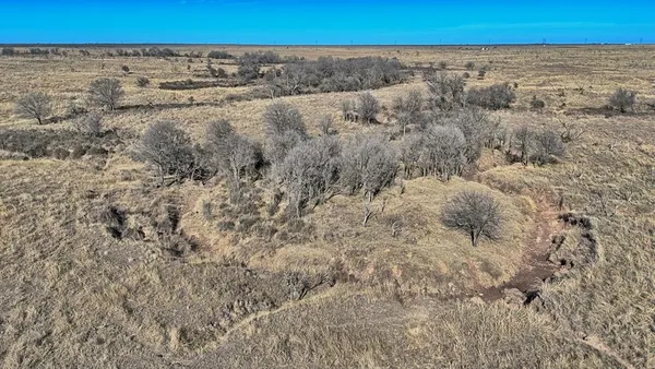 a view of a field with a dry yard