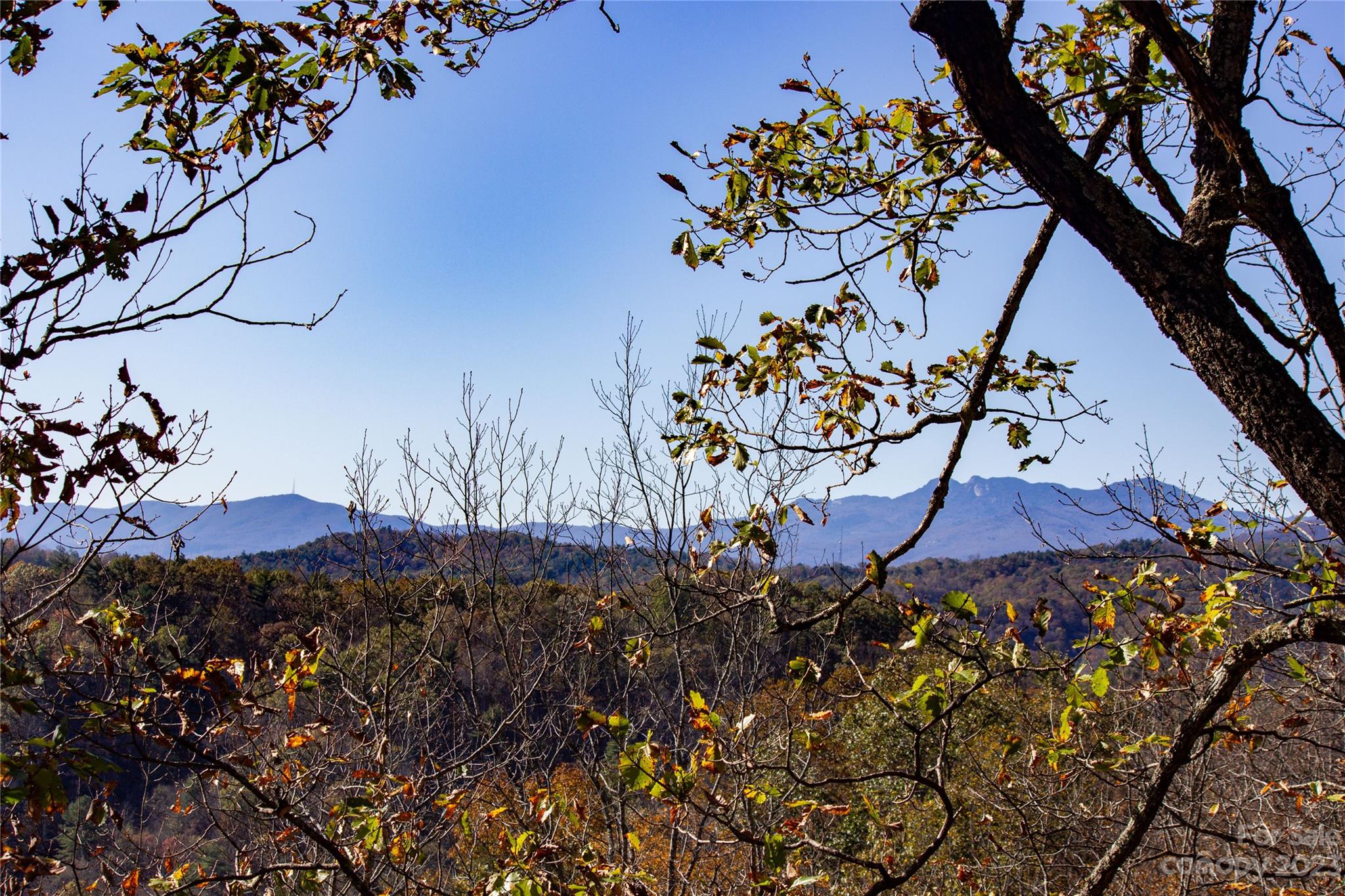 Lot#547 Autumn Ridge, Unit 547 Lenoir, NC 28645 - Photo 1 of 39