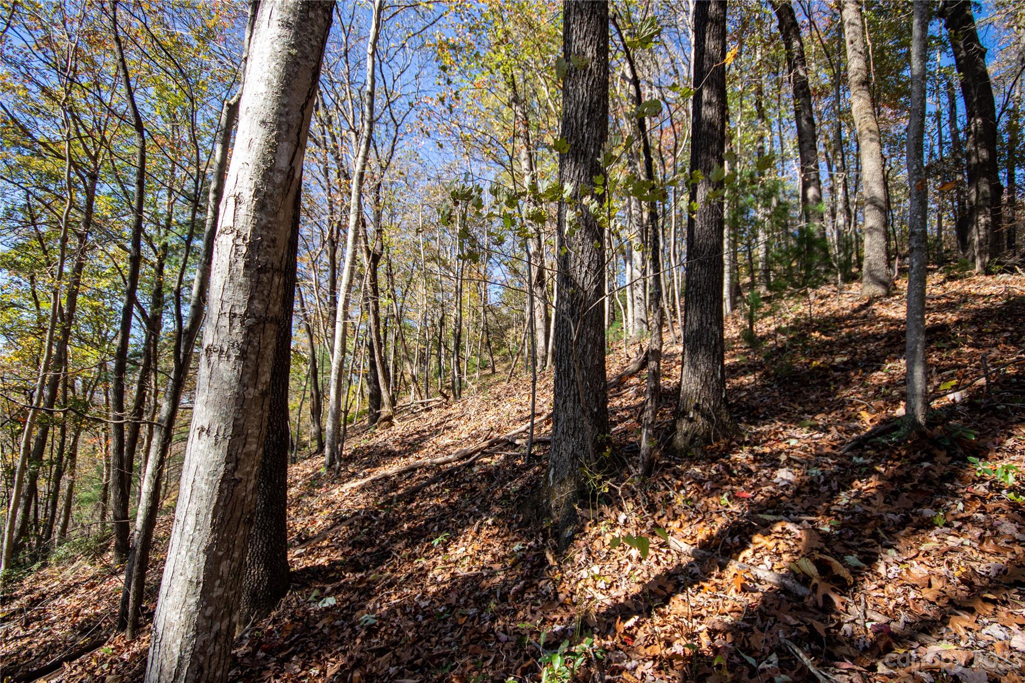 Lot#547 Autumn Ridge, Unit 547 Lenoir, NC 28645 - Photo 11 of 39