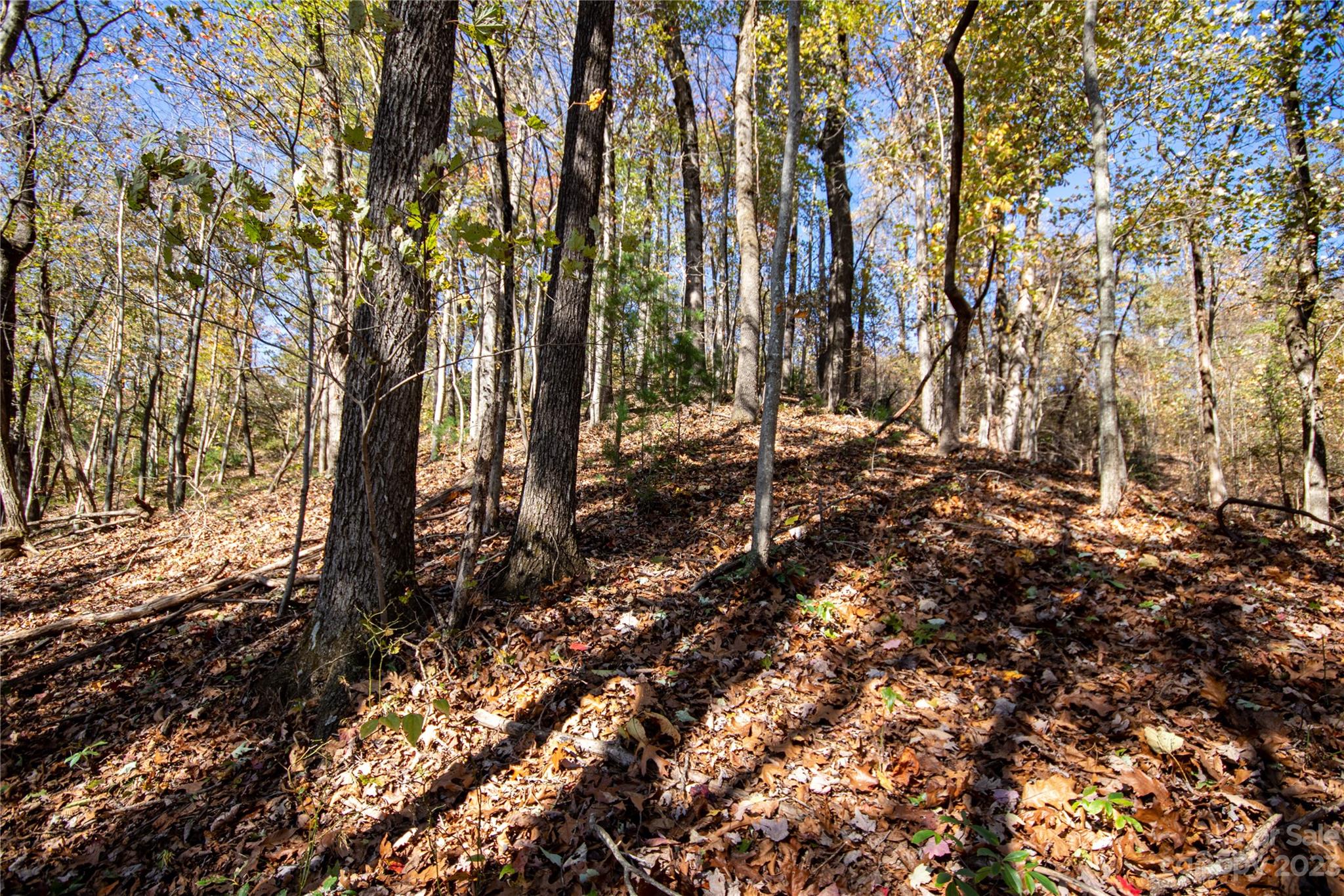 Lot#547 Autumn Ridge, Unit 547 Lenoir, NC 28645 - Photo 12 of 39