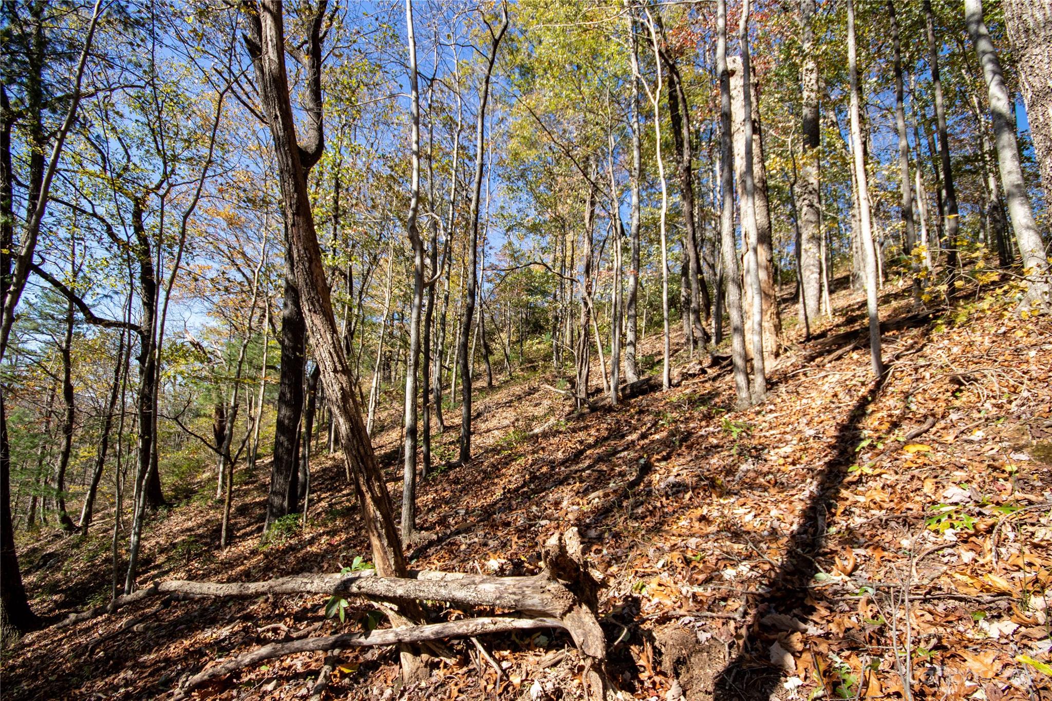 Lot#547 Autumn Ridge, Unit 547 Lenoir, NC 28645 - Photo 13 of 39