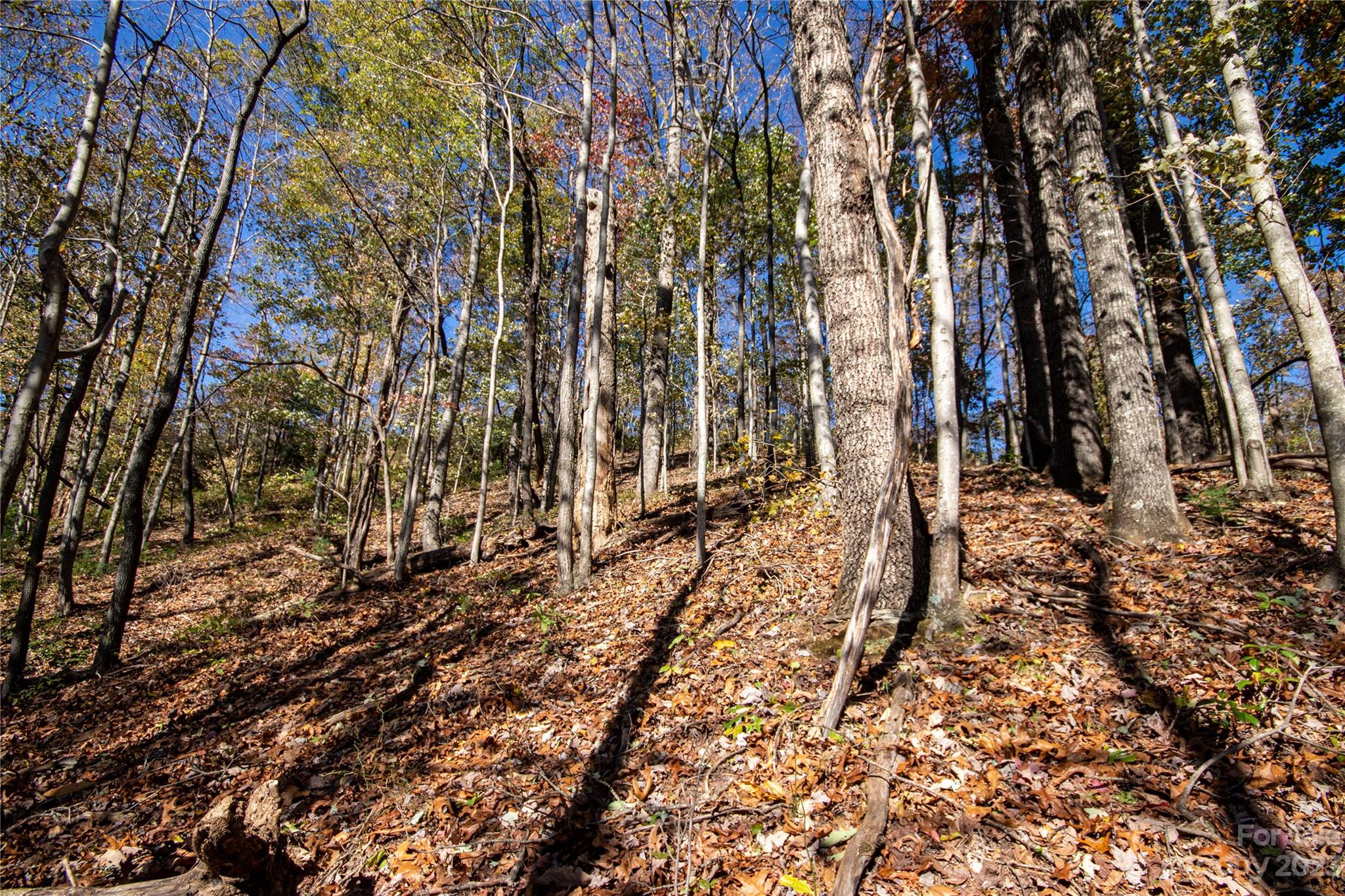 Lot#547 Autumn Ridge, Unit 547 Lenoir, NC 28645 - Photo 14 of 39