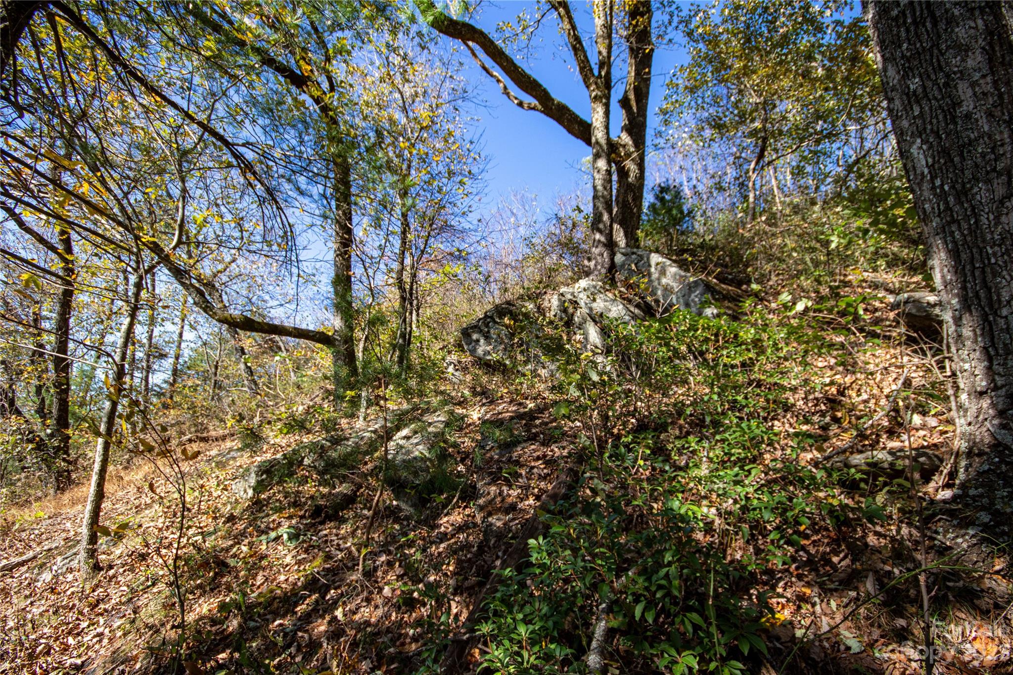 Lot#547 Autumn Ridge, Unit 547 Lenoir, NC 28645 - Photo 15 of 39