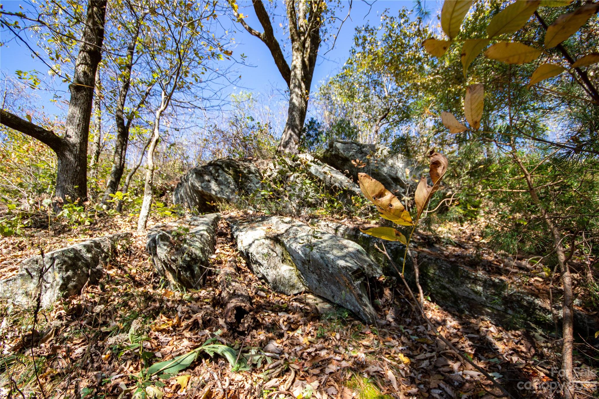 Lot#547 Autumn Ridge, Unit 547 Lenoir, NC 28645 - Photo 16 of 39