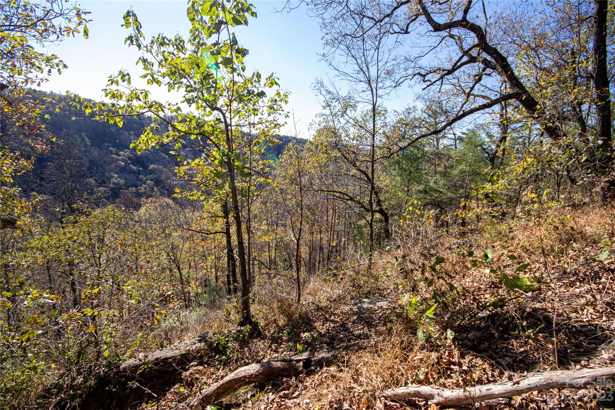 Lot#547 Autumn Ridge, Unit 547 Lenoir, NC 28645 - Photo 17 of 39