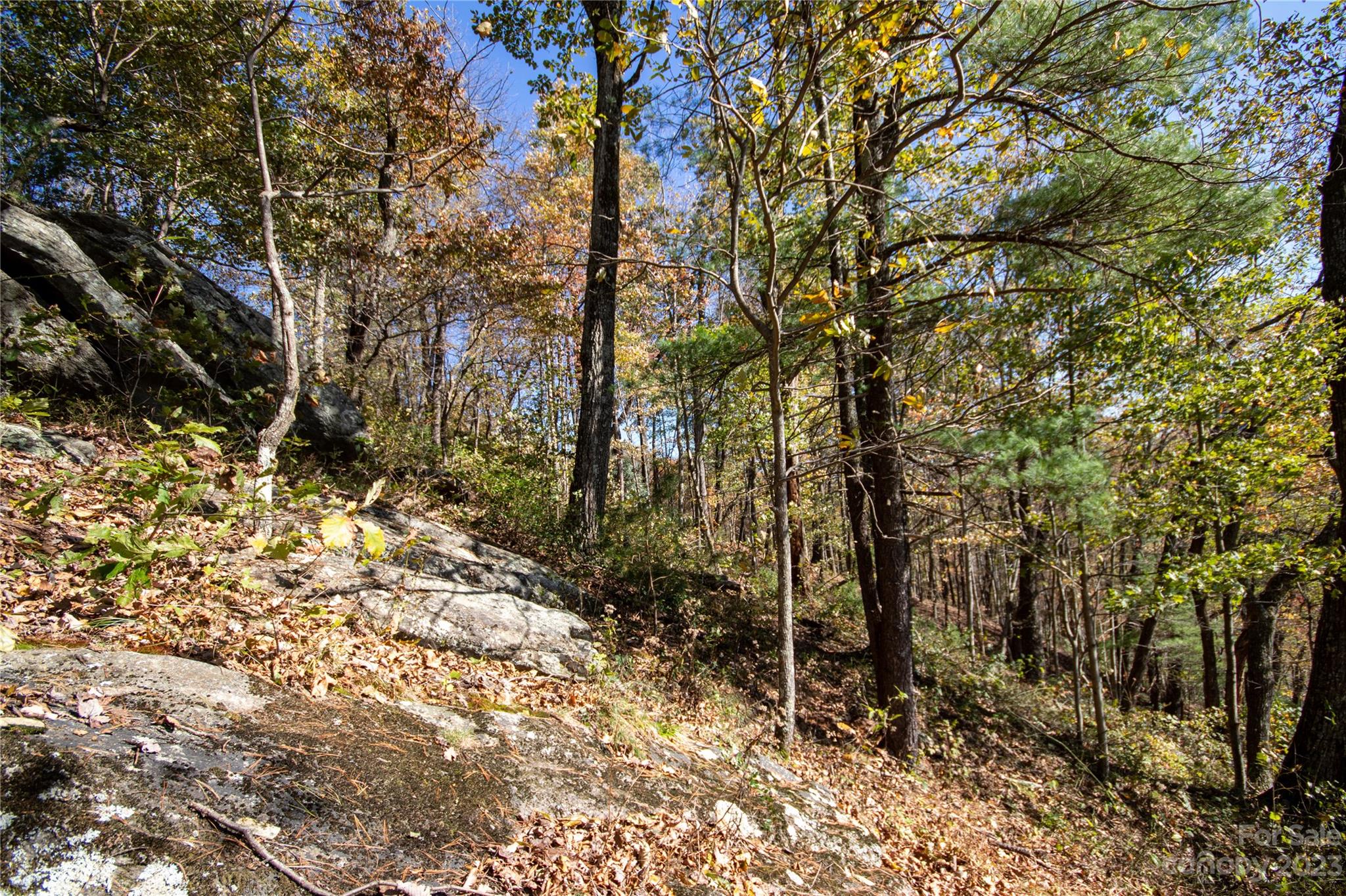 Lot#547 Autumn Ridge, Unit 547 Lenoir, NC 28645 - Photo 19 of 39