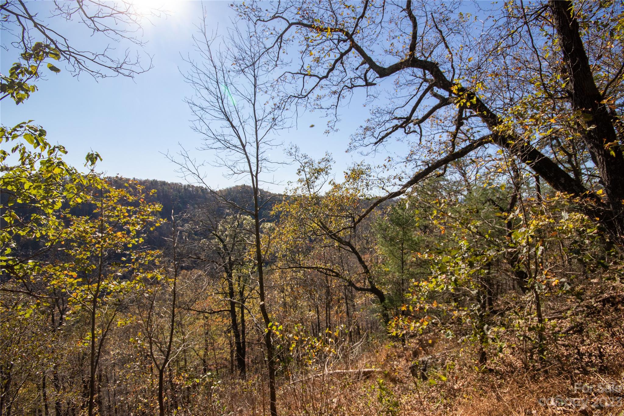 Lot#547 Autumn Ridge, Unit 547 Lenoir, NC 28645 - Photo 20 of 39