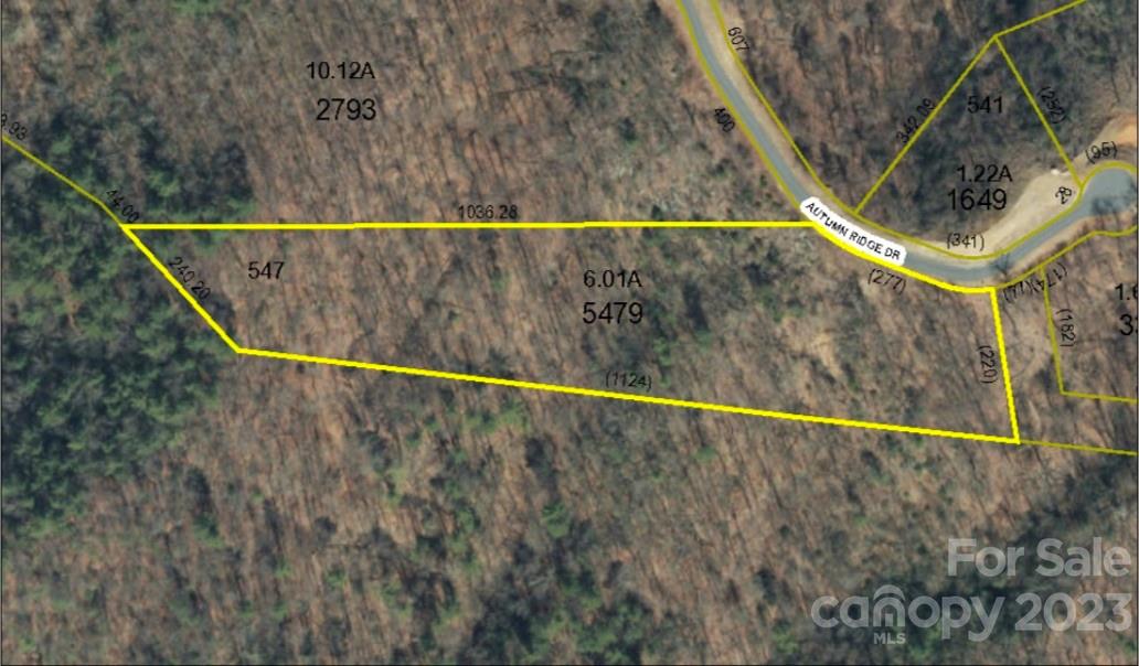 Lot#547 Autumn Ridge, Unit 547 Lenoir, NC 28645 - Photo 2 of 39