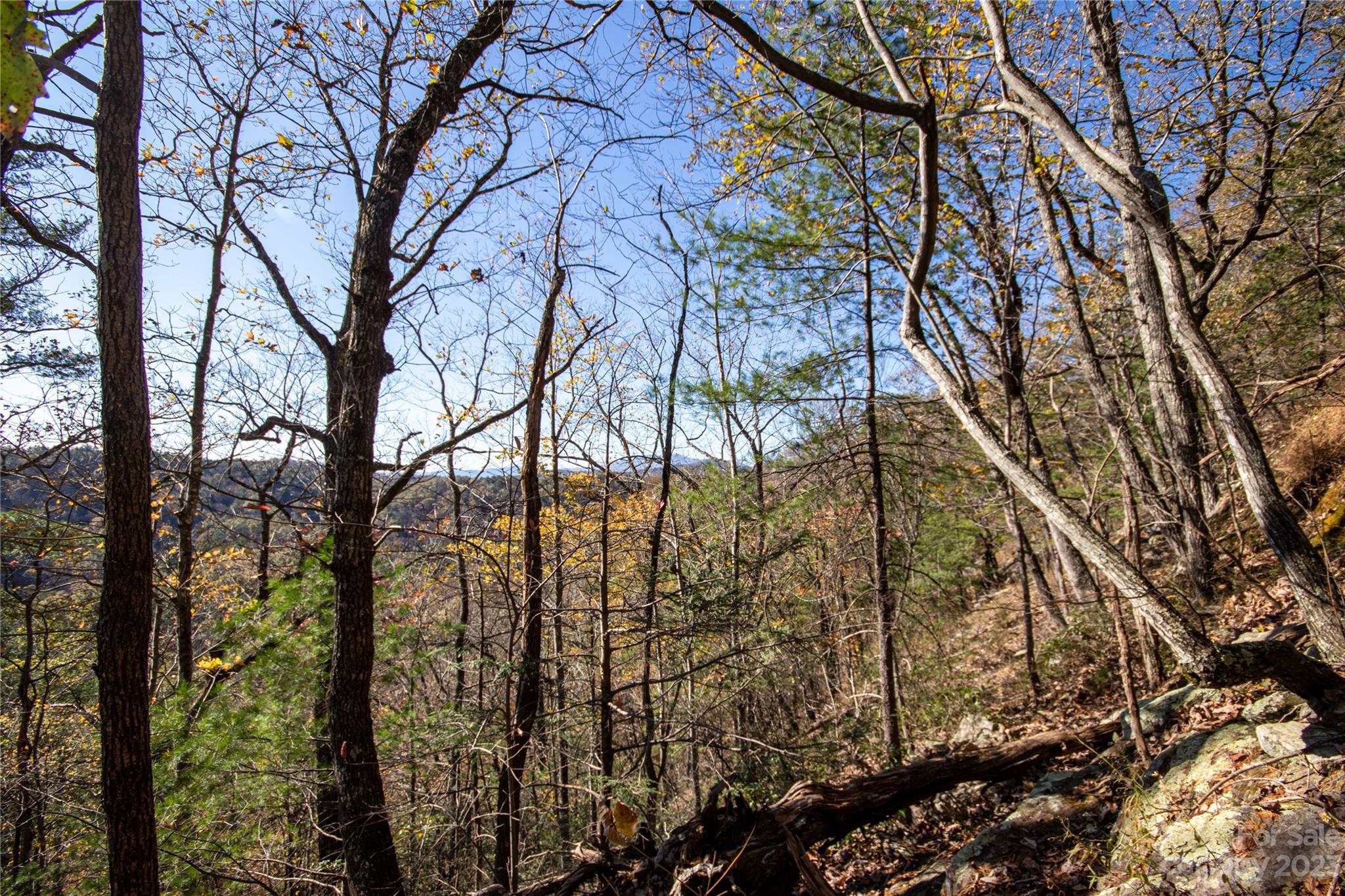 Lot#547 Autumn Ridge, Unit 547 Lenoir, NC 28645 - Photo 21 of 39