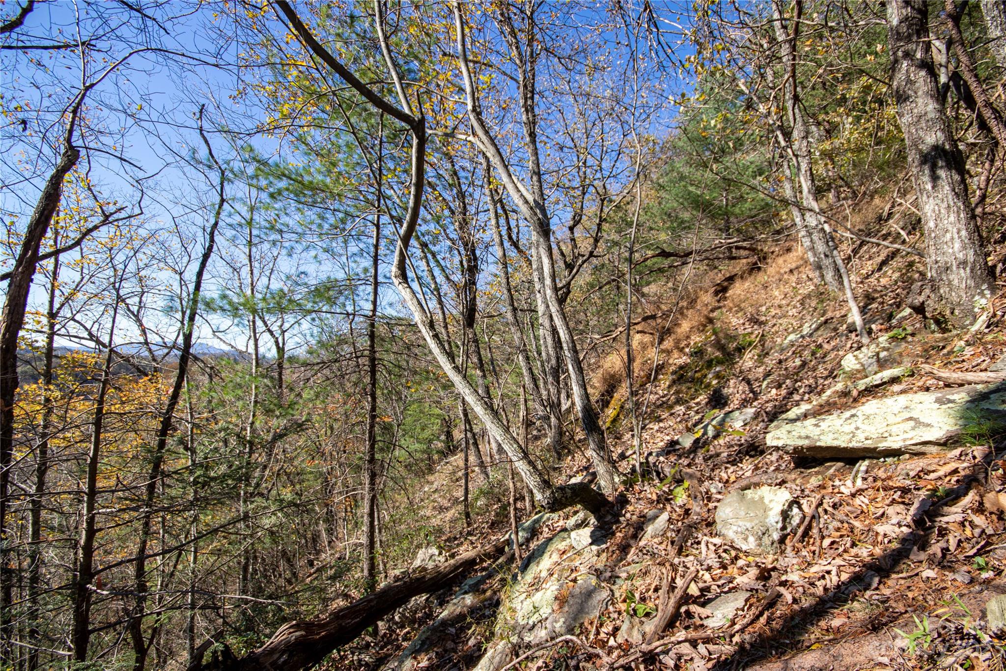 Lot#547 Autumn Ridge, Unit 547 Lenoir, NC 28645 - Photo 22 of 39