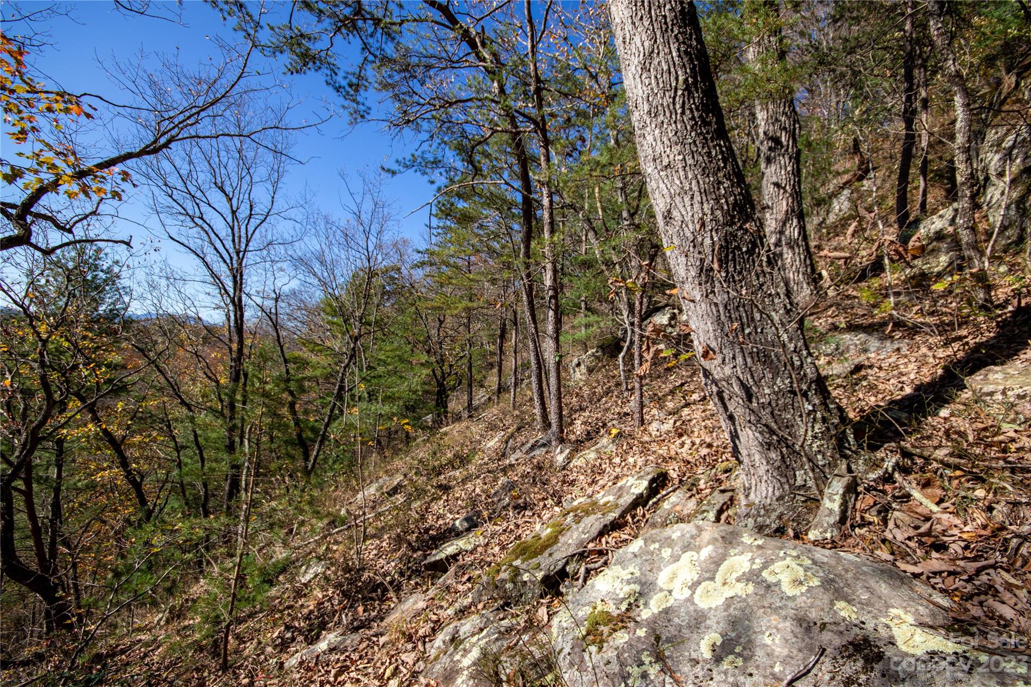 Lot#547 Autumn Ridge, Unit 547 Lenoir, NC 28645 - Photo 24 of 39