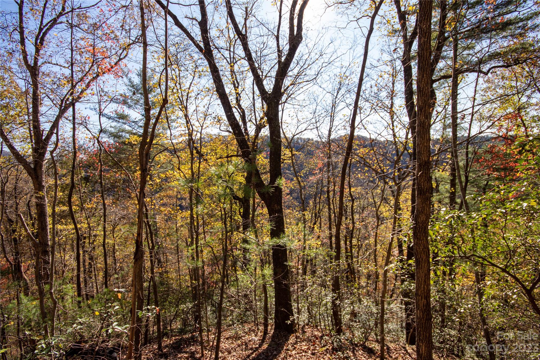 Lot#547 Autumn Ridge, Unit 547 Lenoir, NC 28645 - Photo 25 of 39