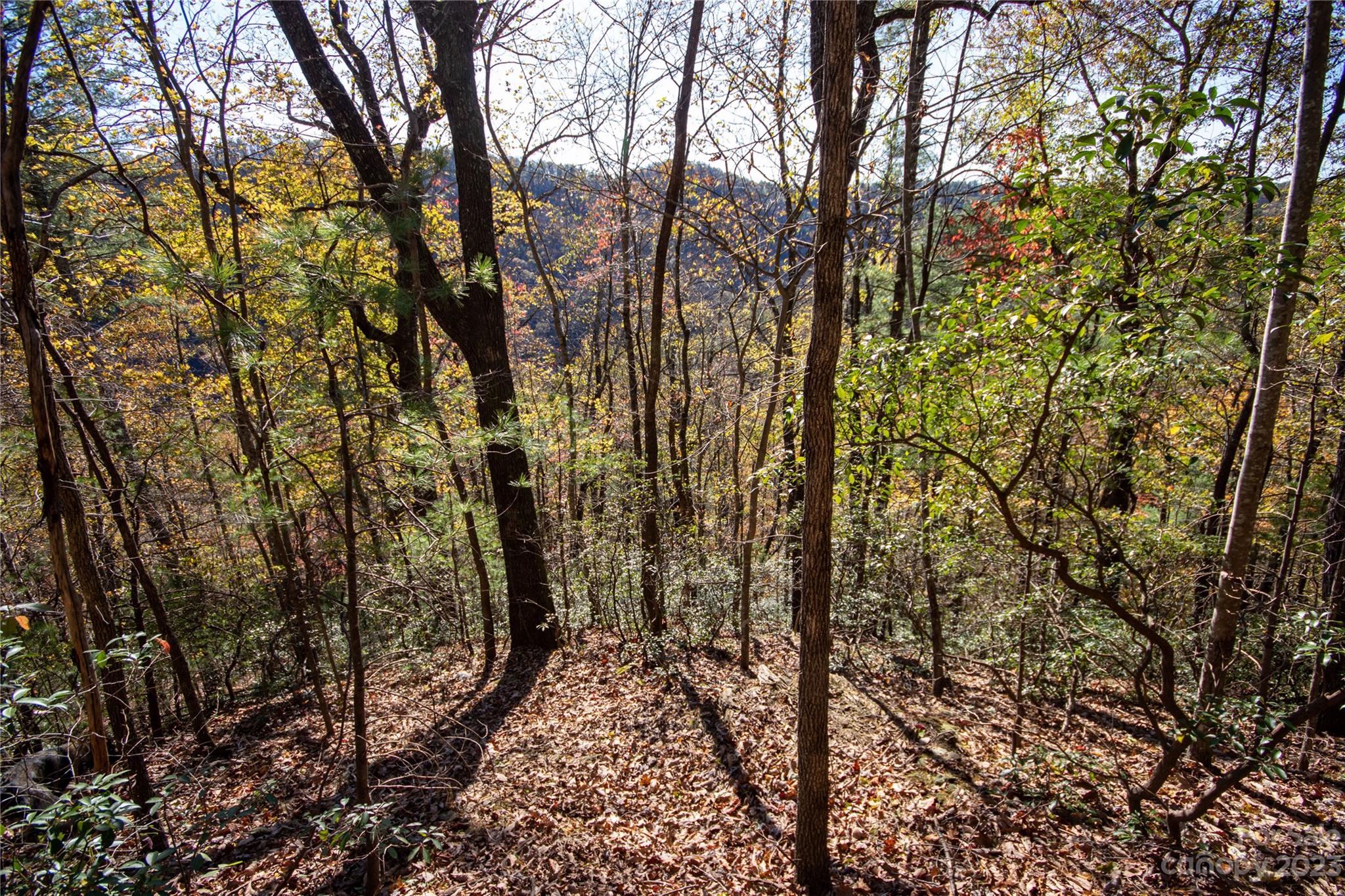 Lot#547 Autumn Ridge, Unit 547 Lenoir, NC 28645 - Photo 26 of 39