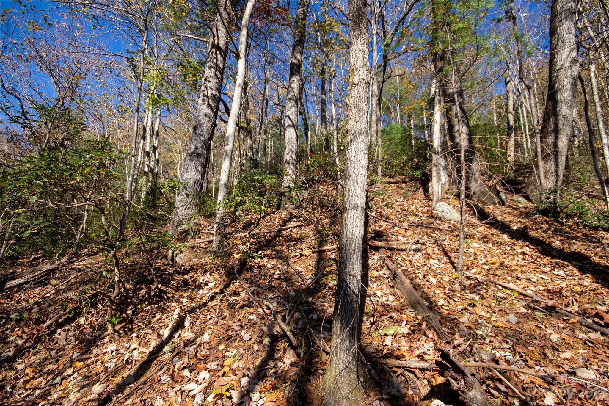 Lot#547 Autumn Ridge, Unit 547 Lenoir, NC 28645 - Photo 27 of 39