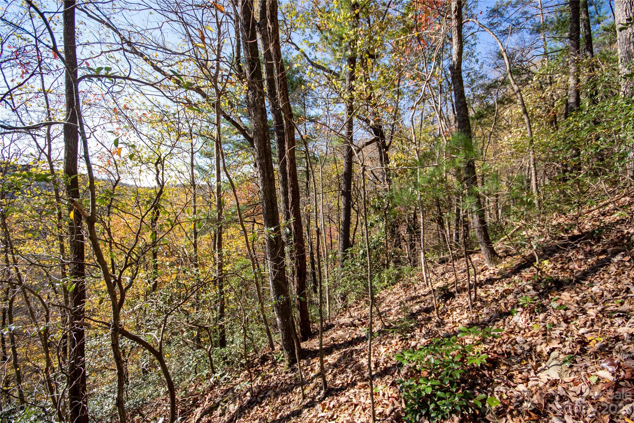 Lot#547 Autumn Ridge, Unit 547 Lenoir, NC 28645 - Photo 28 of 39