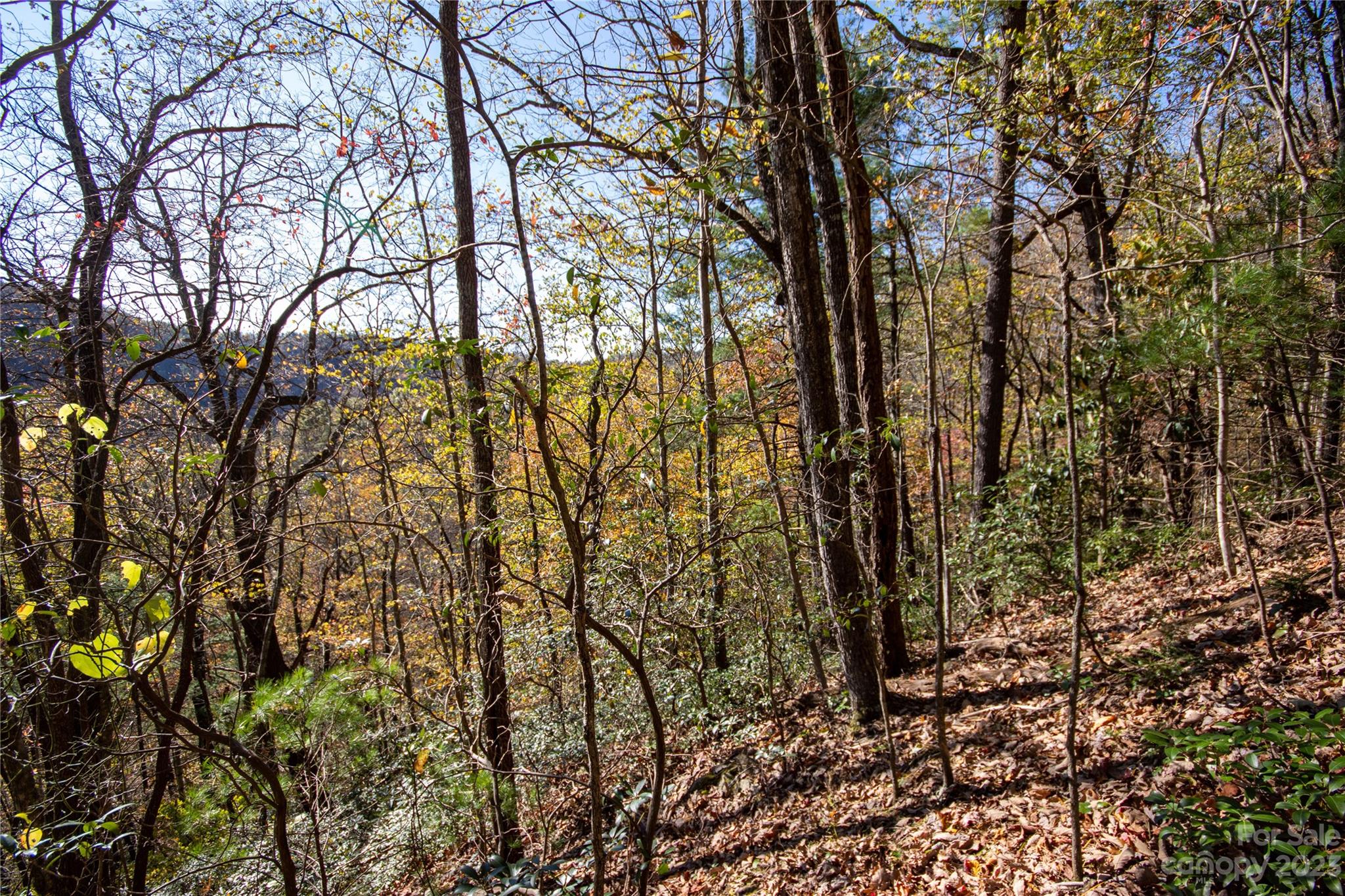Lot#547 Autumn Ridge, Unit 547 Lenoir, NC 28645 - Photo 29 of 39