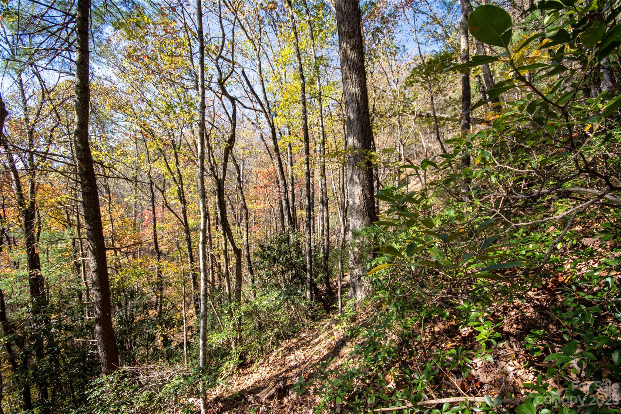 Lot#547 Autumn Ridge, Unit 547 Lenoir, NC 28645 - Photo 30 of 39