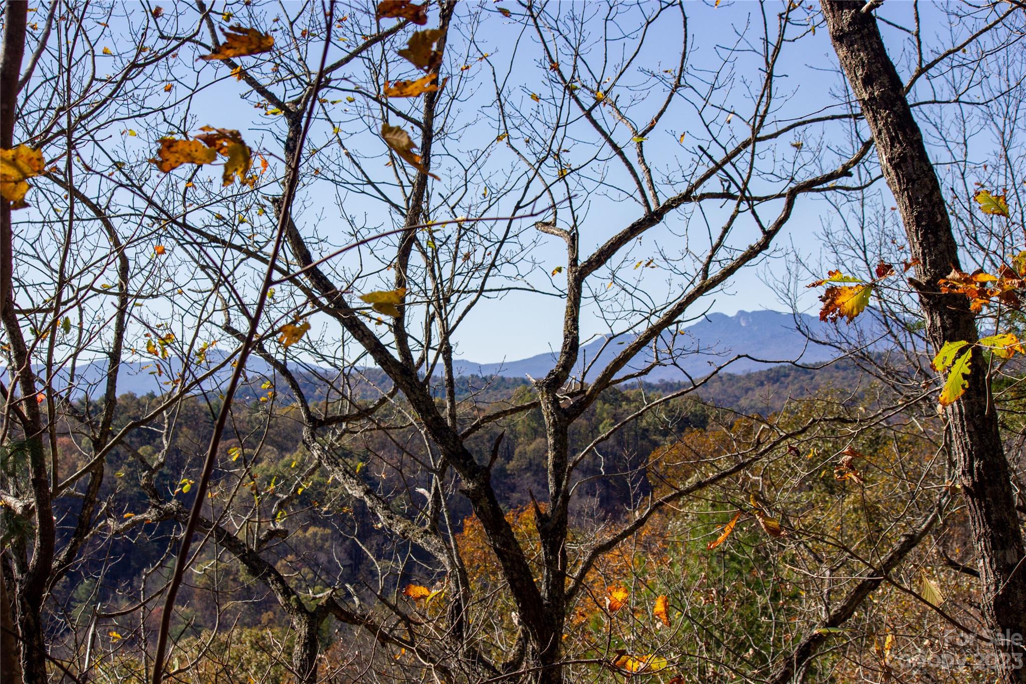 Lot#547 Autumn Ridge, Unit 547 Lenoir, NC 28645 - Photo 3 of 39
