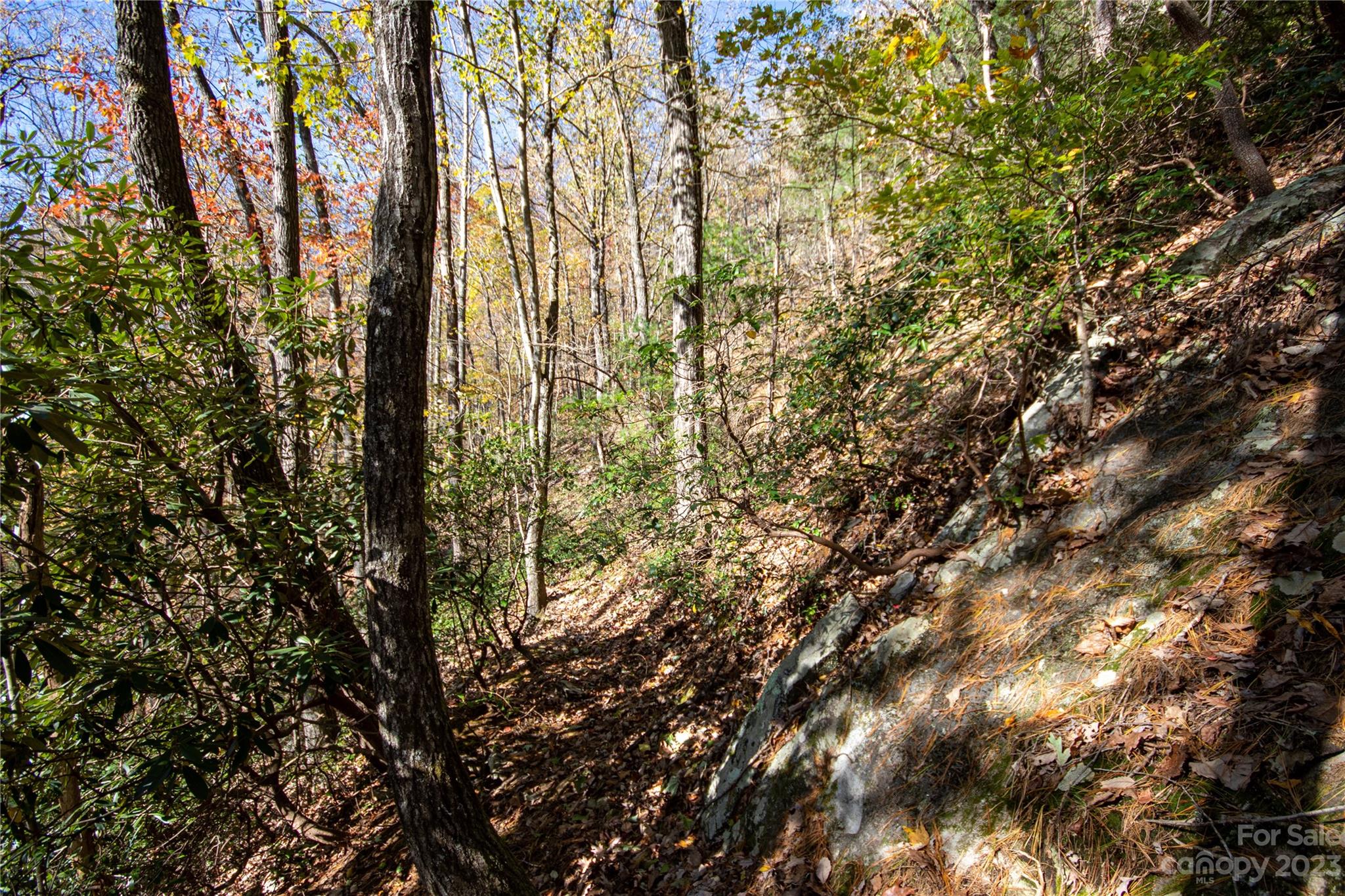 Lot#547 Autumn Ridge, Unit 547 Lenoir, NC 28645 - Photo 31 of 39