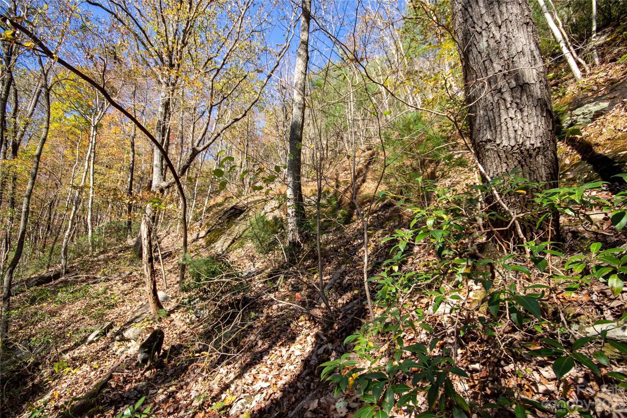 Lot#547 Autumn Ridge, Unit 547 Lenoir, NC 28645 - Photo 32 of 39