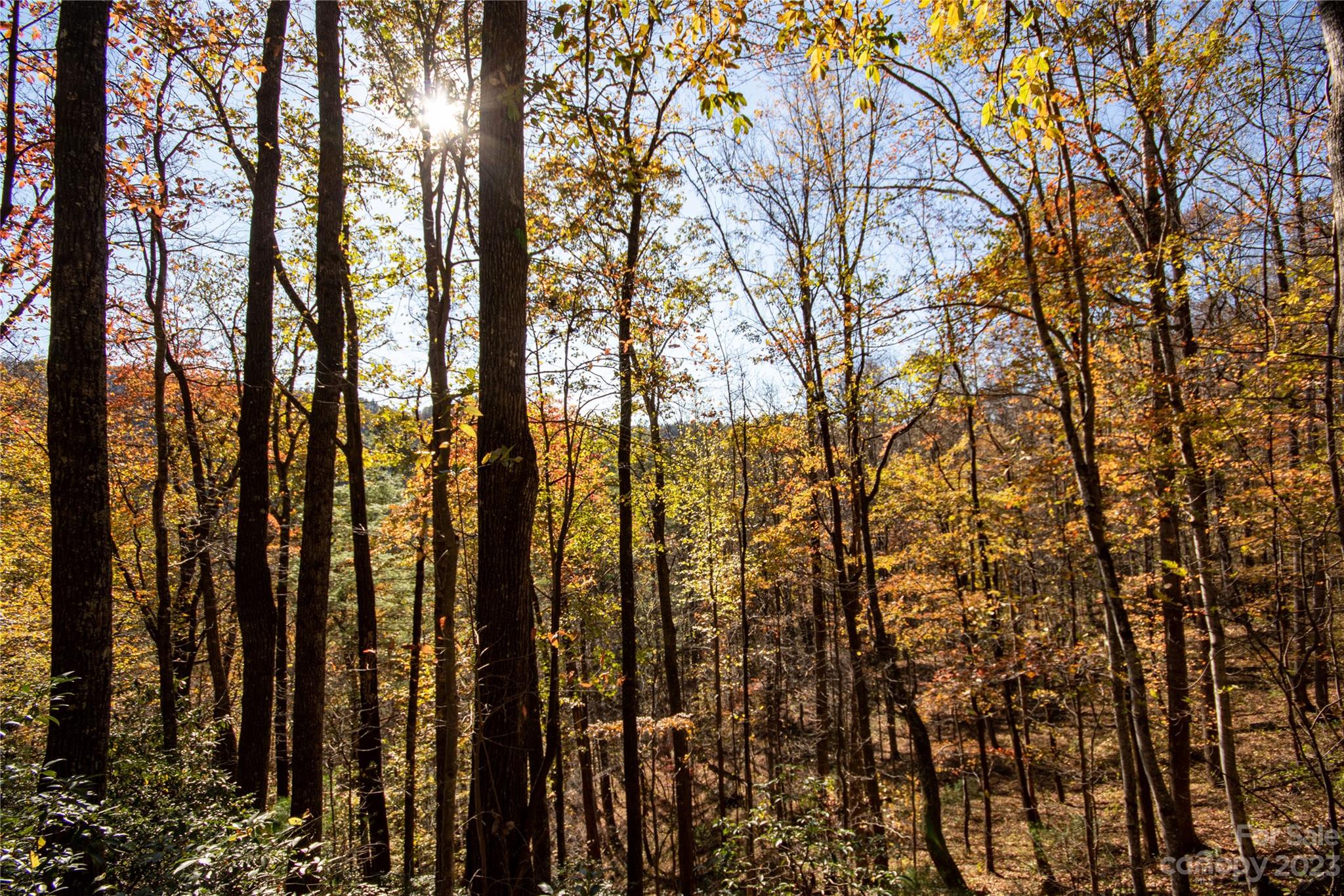 Lot#547 Autumn Ridge, Unit 547 Lenoir, NC 28645 - Photo 33 of 39