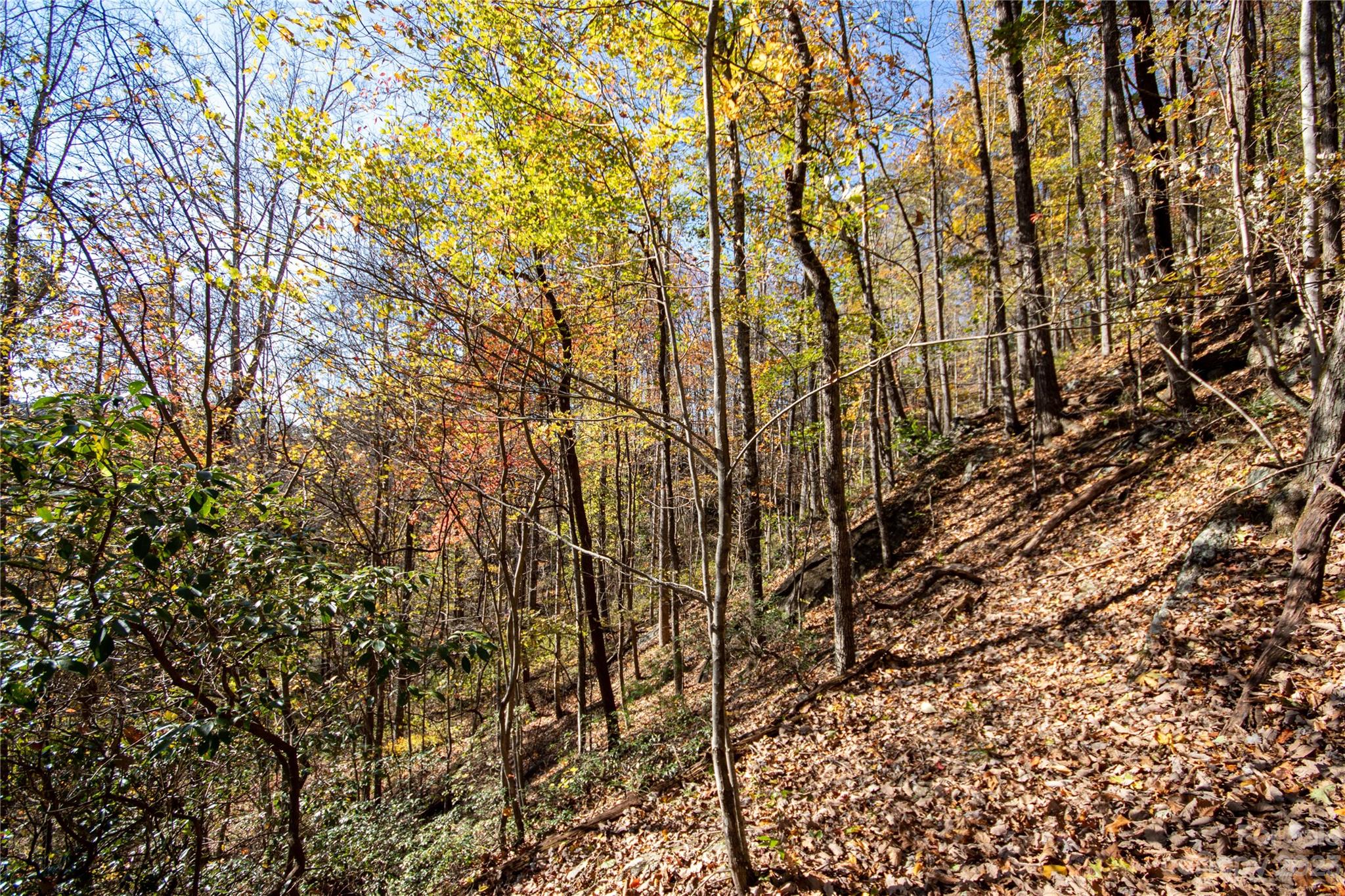 Lot#547 Autumn Ridge, Unit 547 Lenoir, NC 28645 - Photo 34 of 39