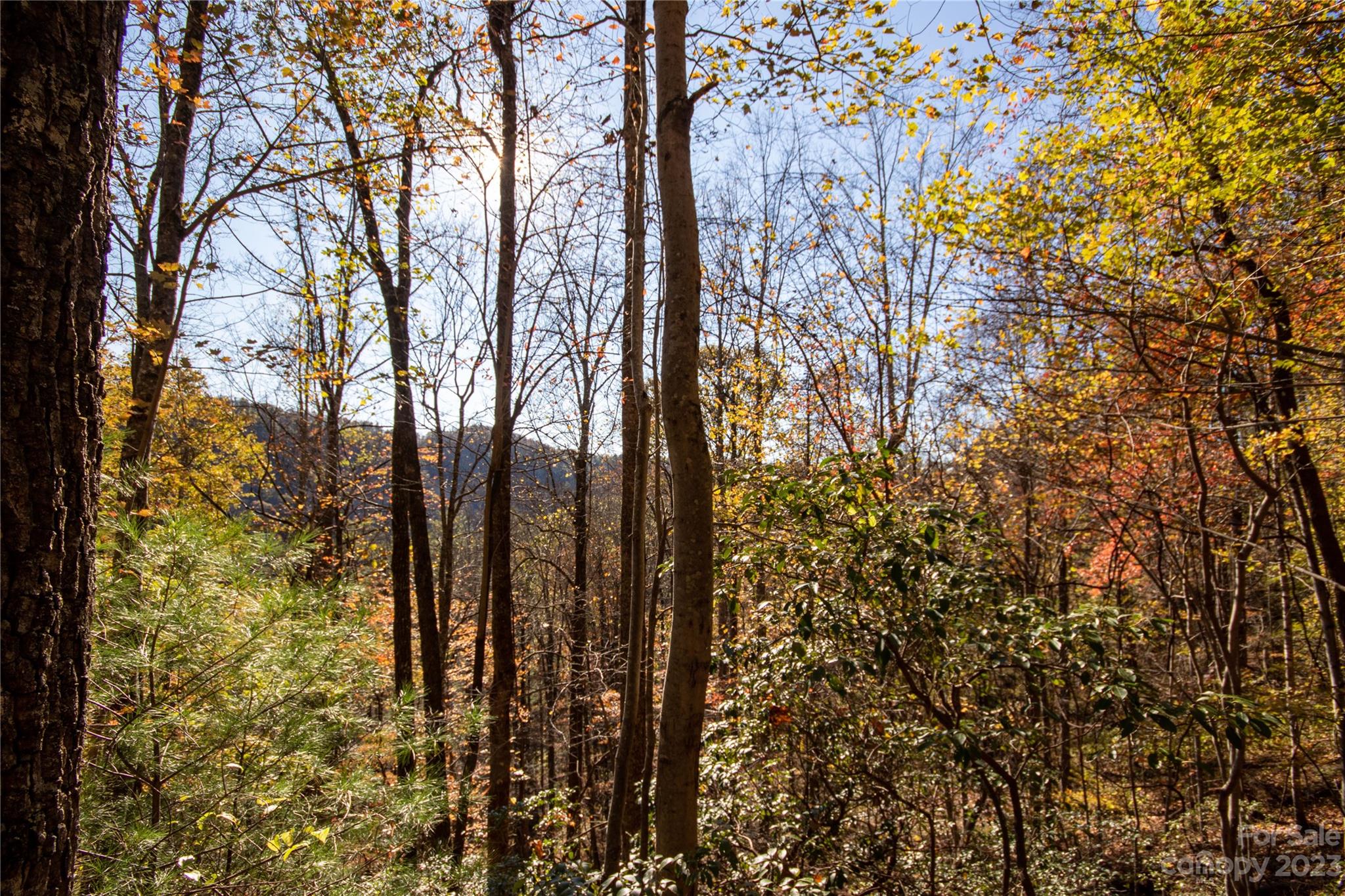 Lot#547 Autumn Ridge, Unit 547 Lenoir, NC 28645 - Photo 35 of 39