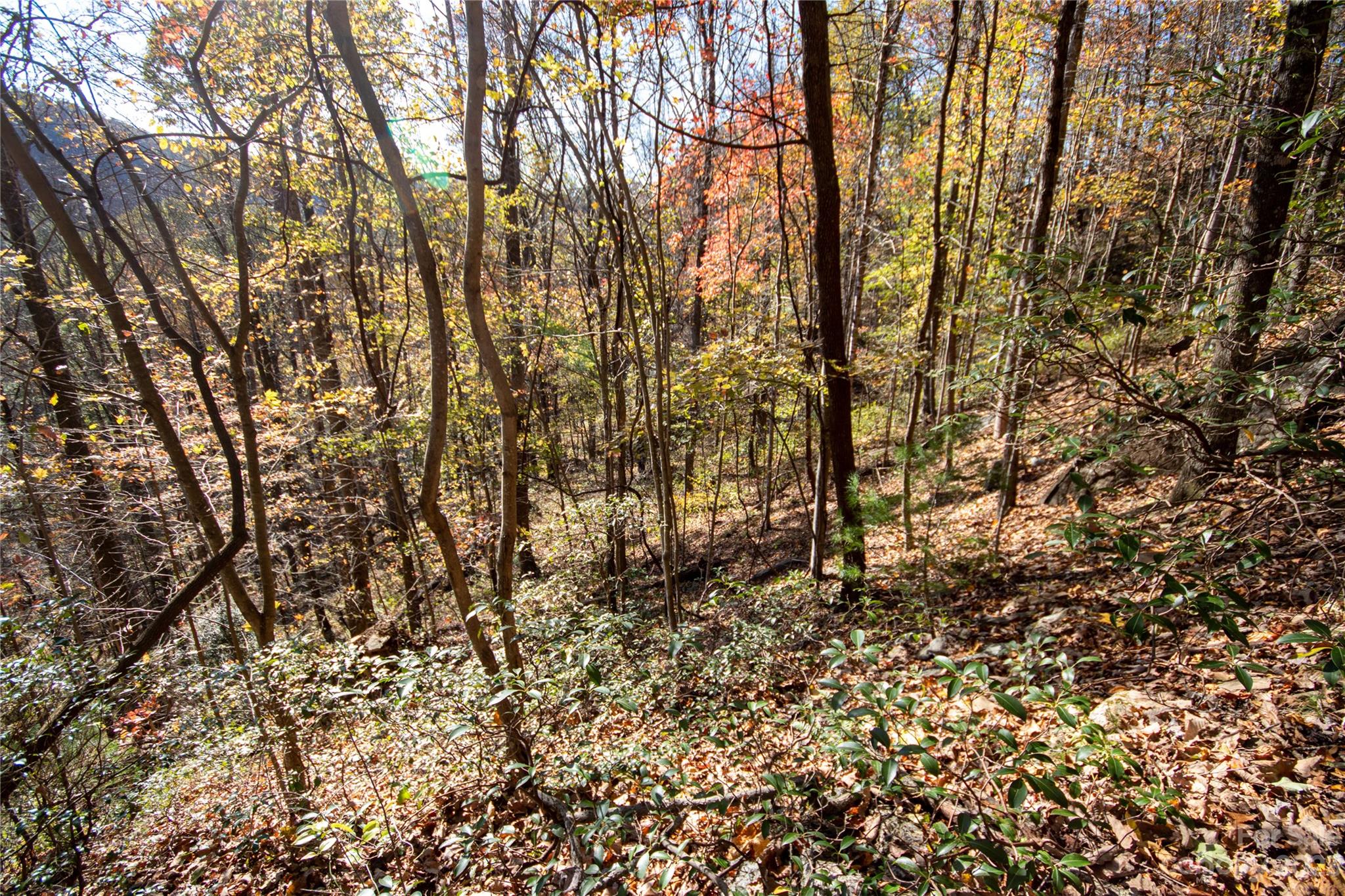 Lot#547 Autumn Ridge, Unit 547 Lenoir, NC 28645 - Photo 36 of 39