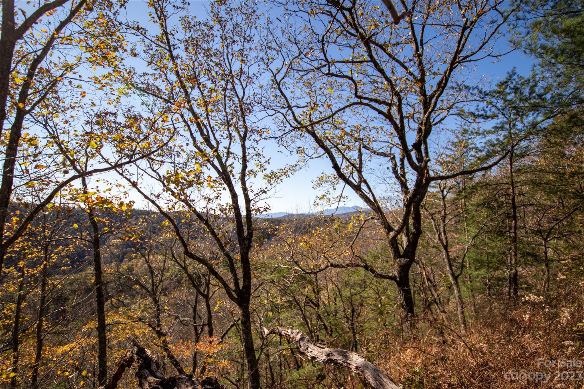 Lot#547 Autumn Ridge, Unit 547 Lenoir, NC 28645 - Photo 4 of 39