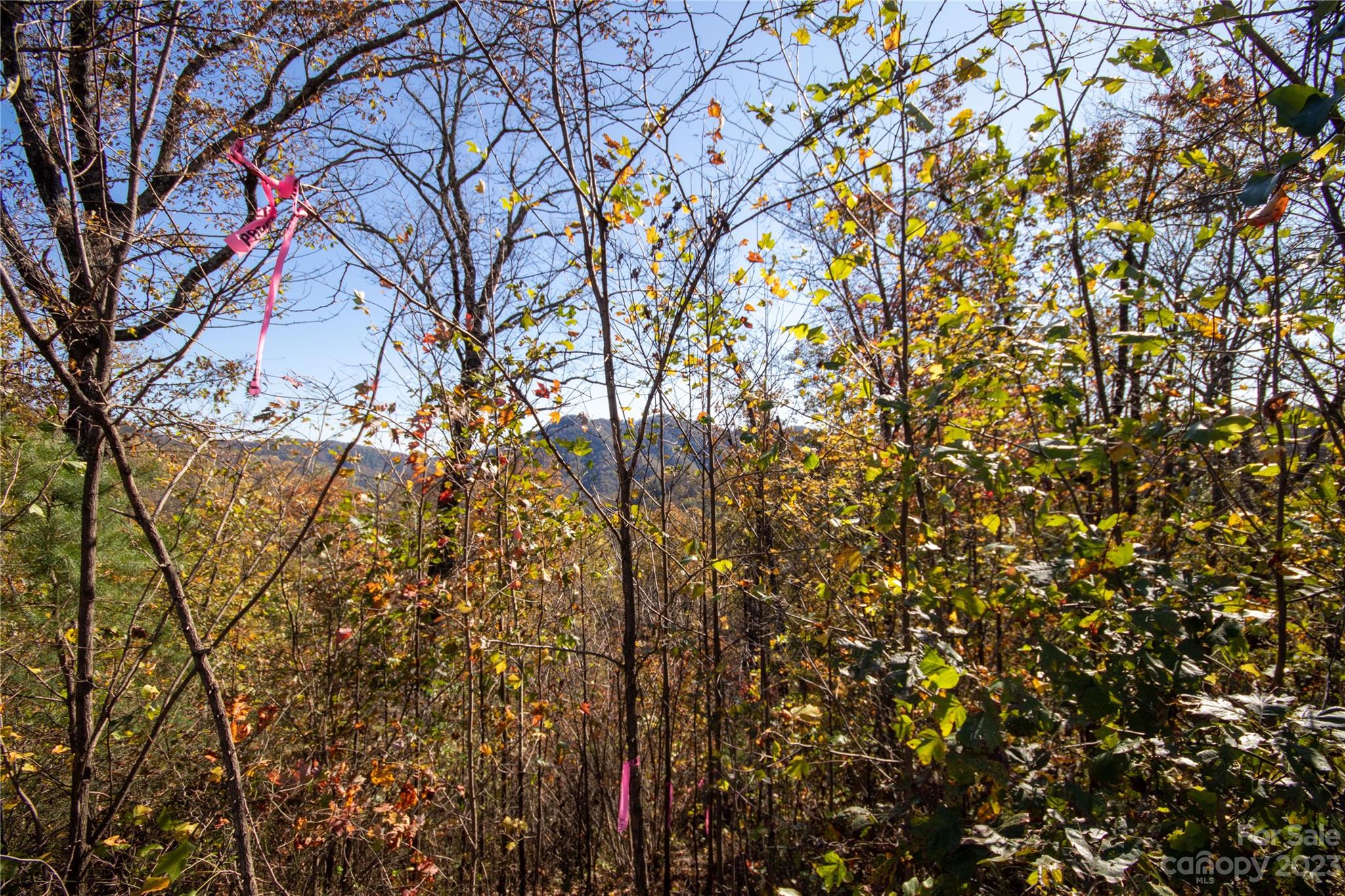 Lot#547 Autumn Ridge, Unit 547 Lenoir, NC 28645 - Photo 6 of 39