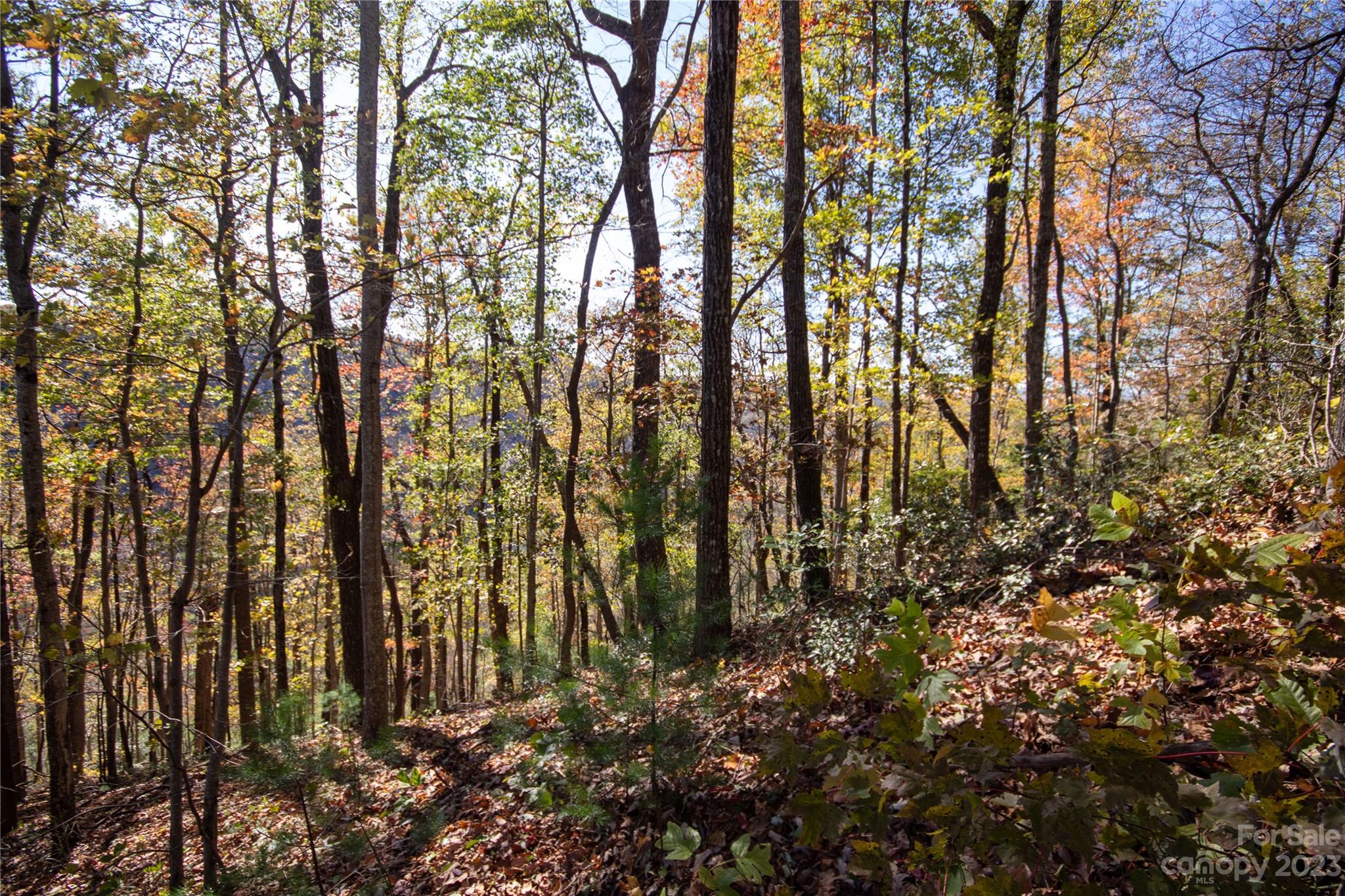 Lot#547 Autumn Ridge, Unit 547 Lenoir, NC 28645 - Photo 8 of 39