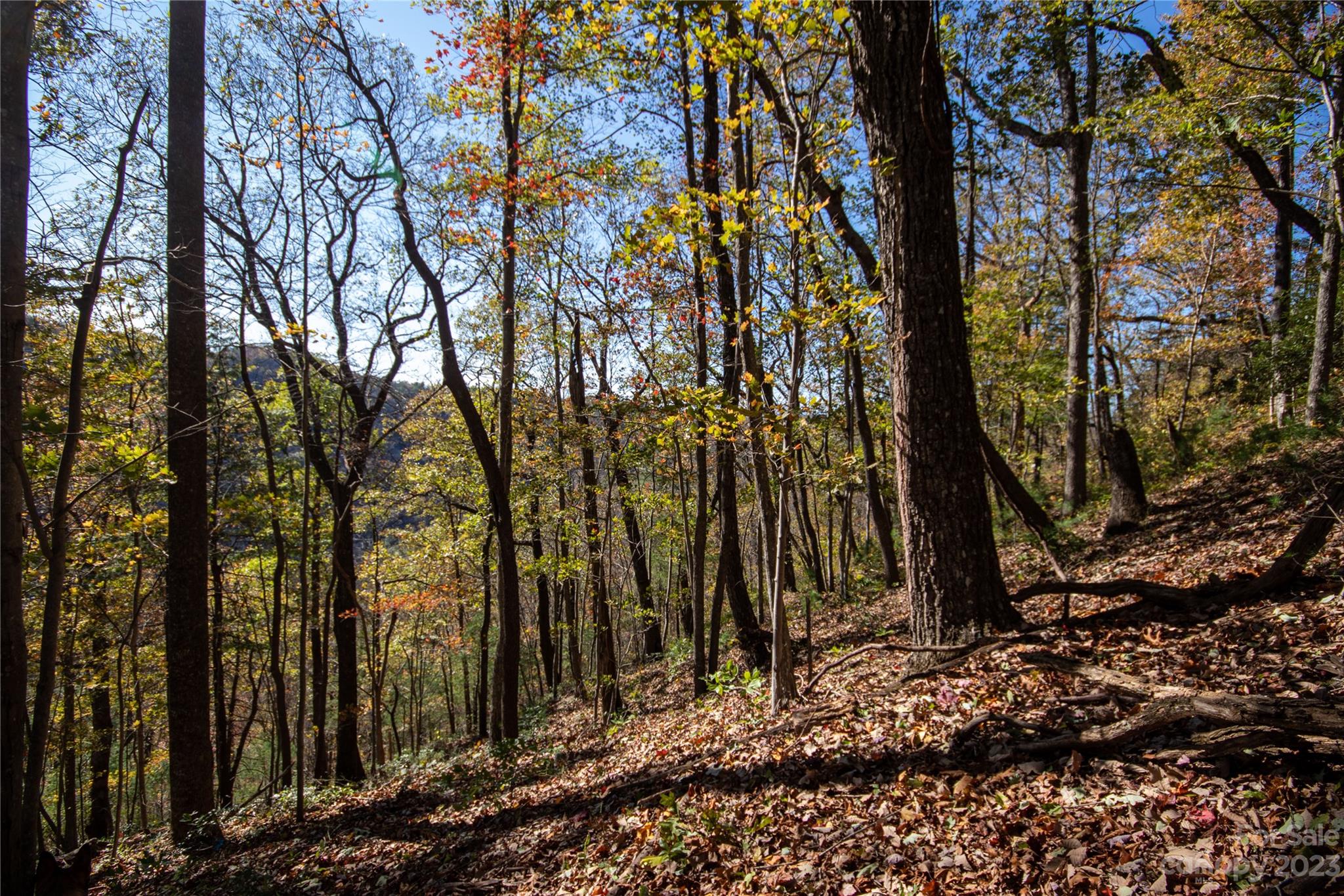 Lot#547 Autumn Ridge, Unit 547 Lenoir, NC 28645 - Photo 9 of 39