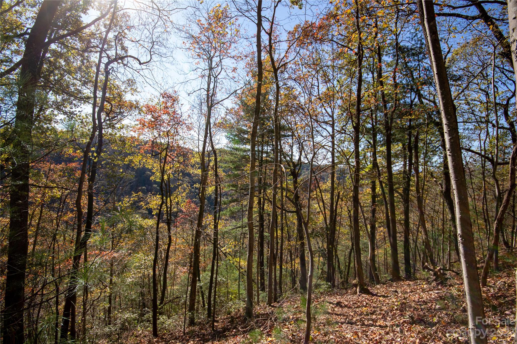 Lot#547 Autumn Ridge, Unit 547 Lenoir, NC 28645 - Photo 10 of 39