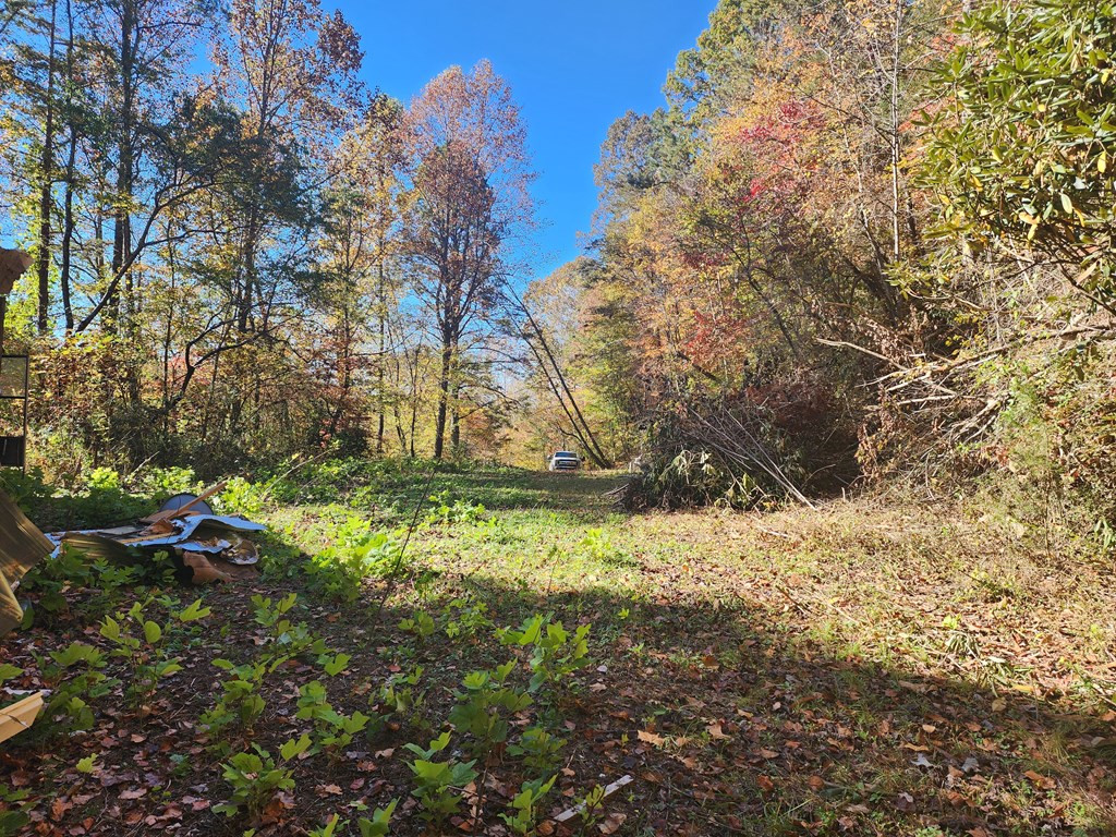 1341 Maltby Road Marble, NC 28905 - Photo 6 of 13