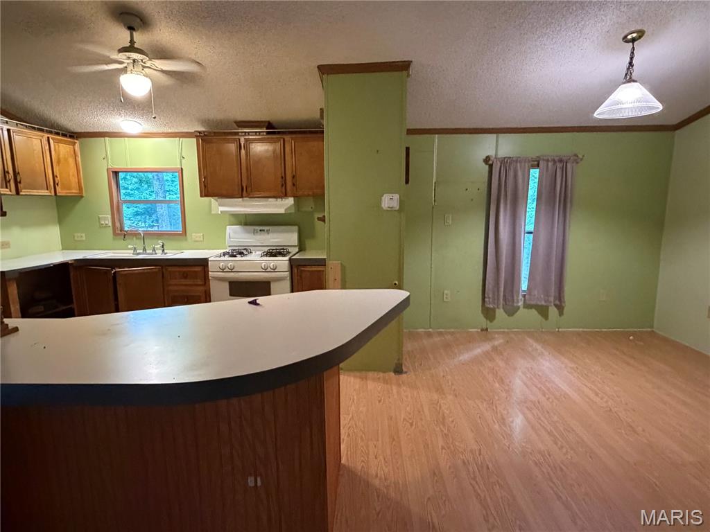 22447 South Stracks Church Road Wright City, MO 63390 - Photo 5 of 10